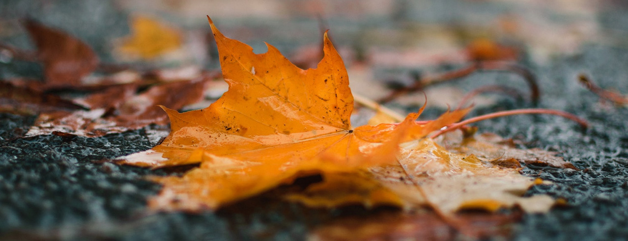 خرید و فروش ویلا